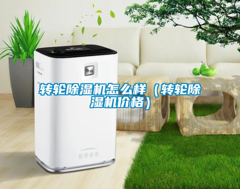 轉(zhuǎn)輪除濕機(jī)怎么樣（轉(zhuǎn)輪除濕機(jī)價格）
