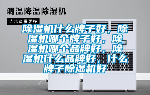 除濕機什么牌子好，除濕機哪個牌子好，除濕機哪個品牌好，除濕機什么品牌好，什么牌子除濕機好