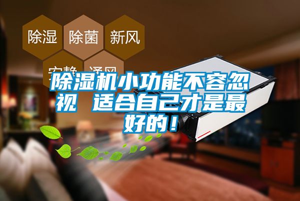 除濕機小功能不容忽視 適合自己才是最好的！