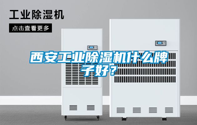 西安工業(yè)除濕機(jī)什么牌子好？