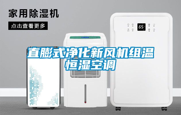 直膨式凈化新風機組溫恒濕空調(diào)
