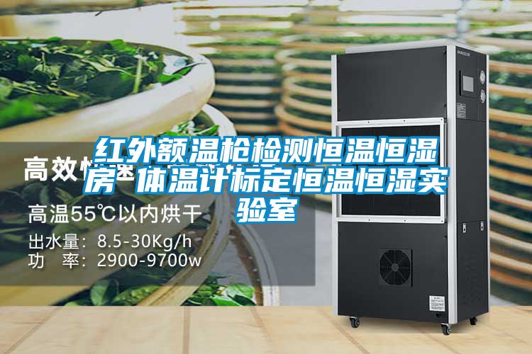 紅外額溫槍檢測恒溫恒濕房 體溫計標(biāo)定恒溫恒濕實驗室