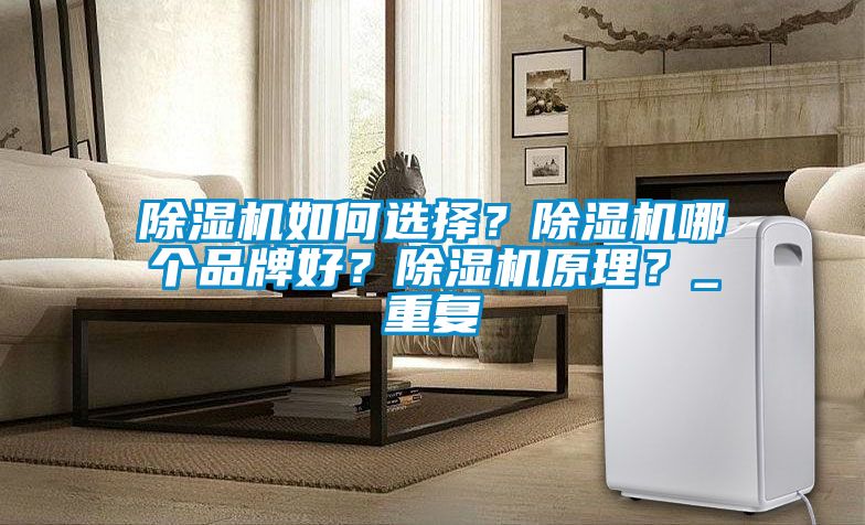 除濕機如何選擇？除濕機哪個品牌好？除濕機原理？_重復