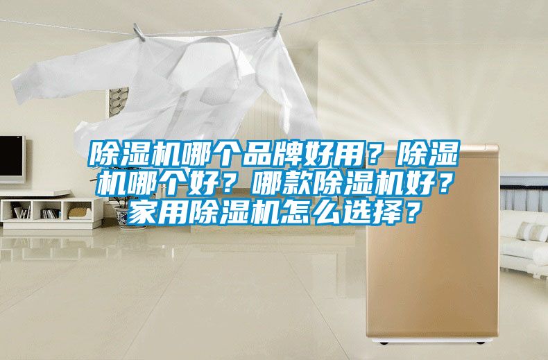 除濕機哪個品牌好用？除濕機哪個好？哪款除濕機好？家用除濕機怎么選擇？