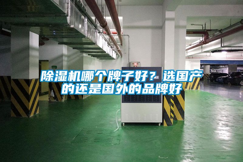 除濕機(jī)哪個牌子好？選國產(chǎn)的還是國外的品牌好