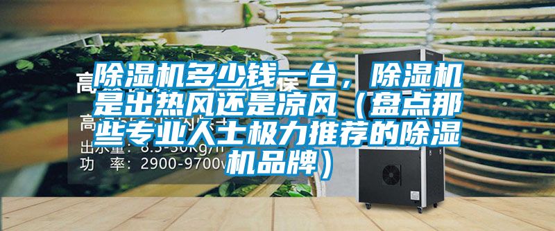 除濕機多少錢一臺，除濕機是出熱風還是涼風（盤點那些專業人士極力推薦的除濕機品牌）