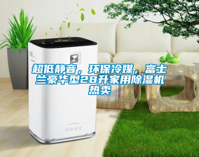 超低靜音，環(huán)保冷媒，富士蘭豪華型28升家用除濕機(jī)熱賣