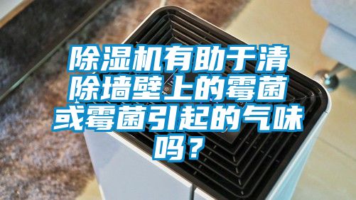 除濕機有助于清除墻壁上的霉菌或霉菌引起的氣味嗎？