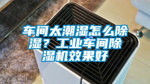 車間太潮濕怎么除濕？工業(yè)車間除濕機(jī)效果好