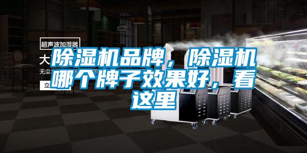 除濕機品牌，除濕機哪個牌子效果好，看這里