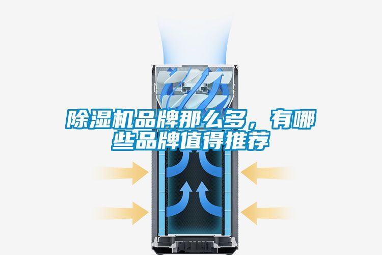 除濕機品牌那么多，有哪些品牌值得推薦