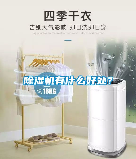 除濕機(jī)有什么好處？