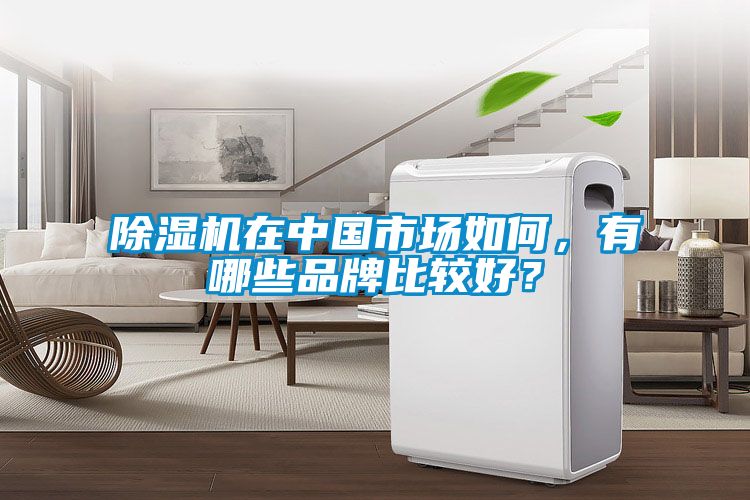 除濕機(jī)在中國市場(chǎng)如何，有哪些品牌比較好？