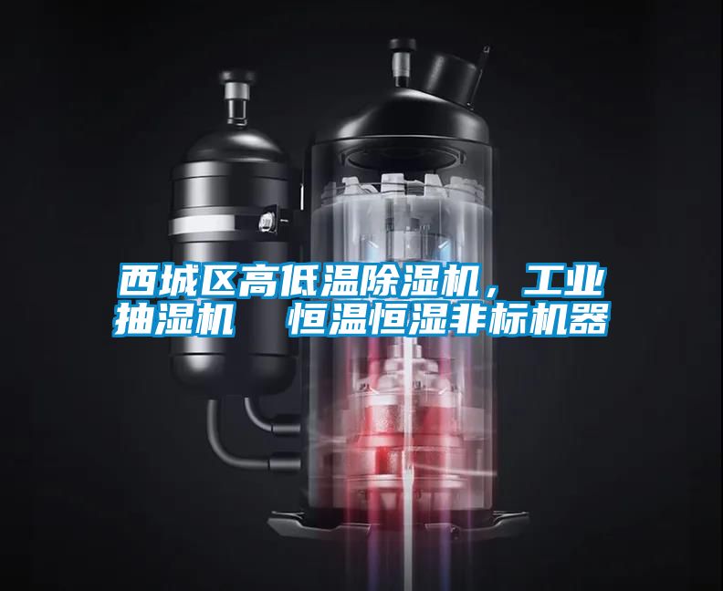 西城區高低溫除濕機，工業抽濕機  恒溫恒濕非標機器