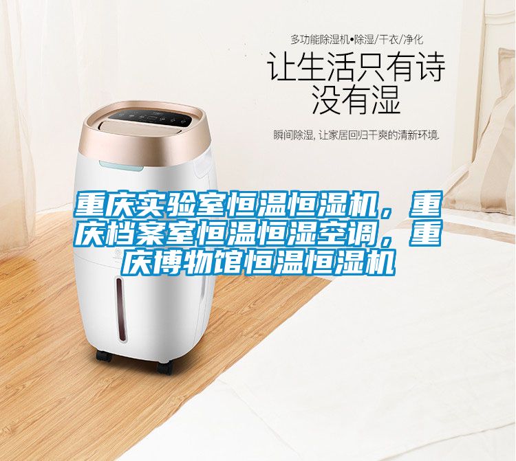 重慶實驗室恒溫恒濕機，重慶檔案室恒溫恒濕空調(diào)，重慶博物館恒溫恒濕機