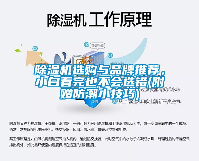 除濕機選購與品牌推薦，小白看完也不會選錯(附贈防潮小技巧)