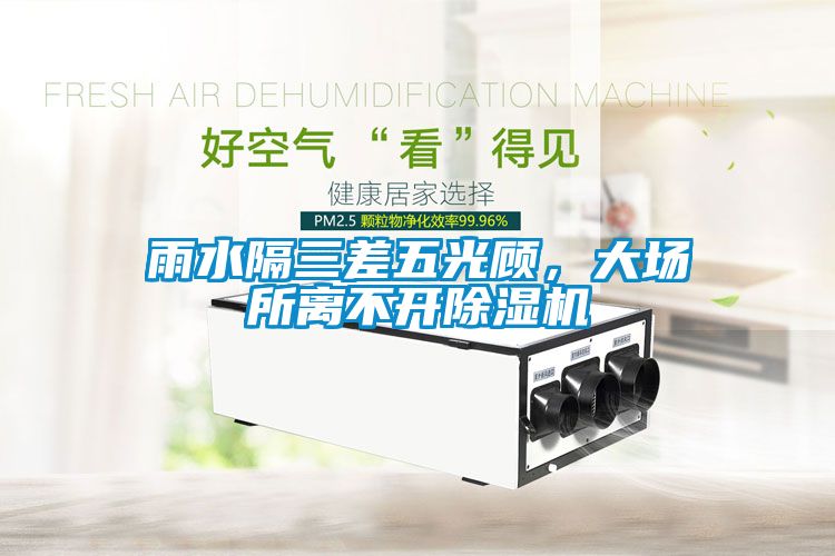 雨水隔三差五光顧，大場所離不開除濕機(jī)