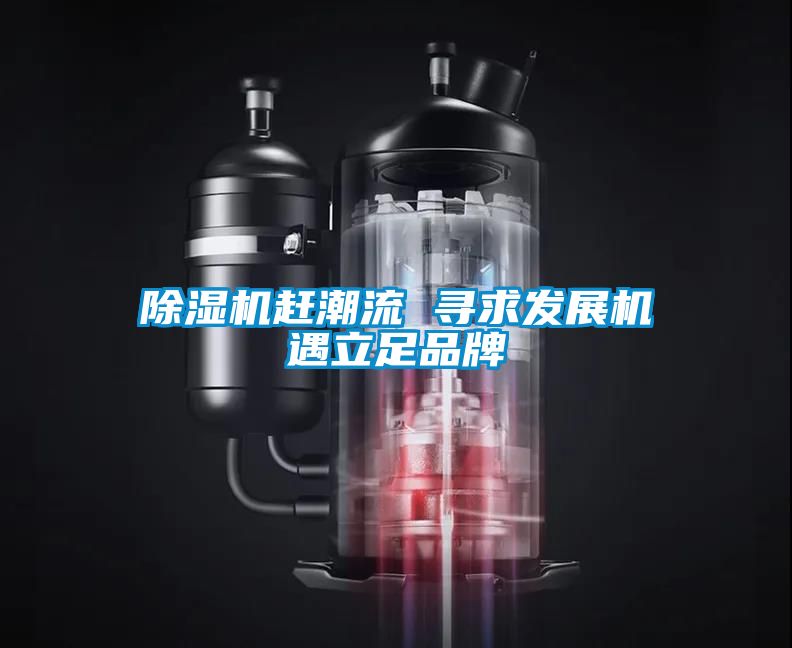 除濕機趕潮流 尋求發展機遇立足品牌