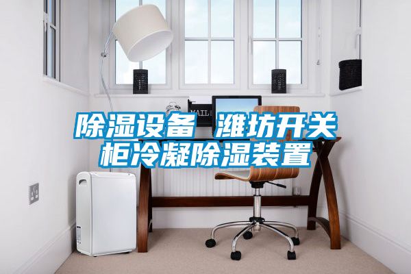 除濕設(shè)備 濰坊開關(guān)柜冷凝除濕裝置