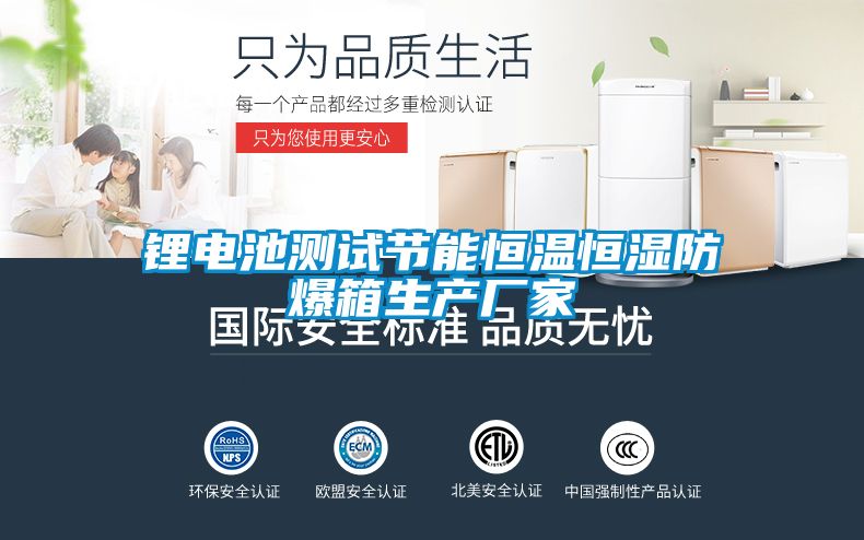 鋰電池測試節能恒溫恒濕防爆箱生產廠家