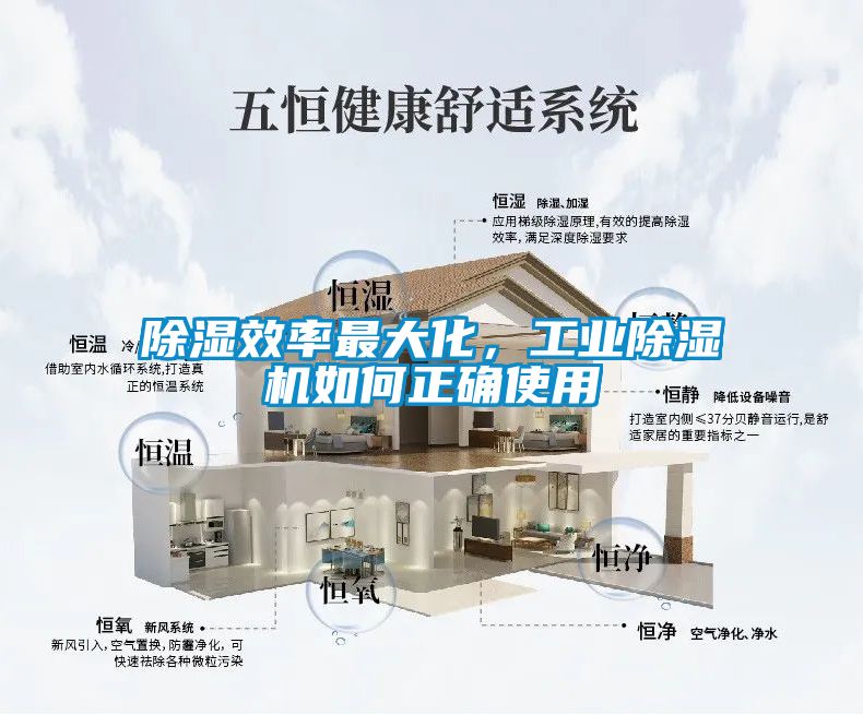 除濕效率最大化，工業除濕機如何正確使用