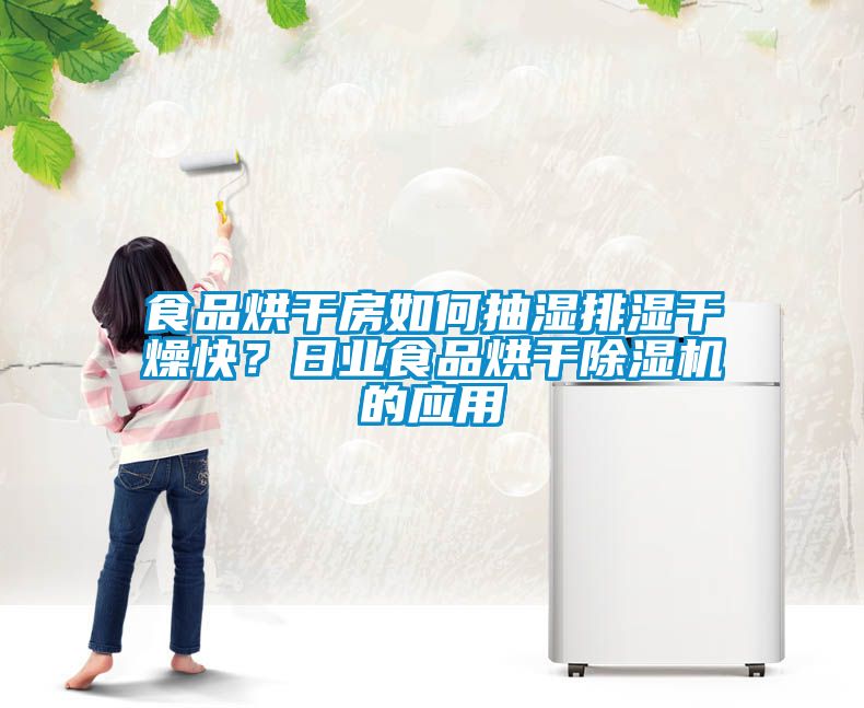食品烘干房如何抽濕排濕干燥快？日業食品烘干除濕機的應用