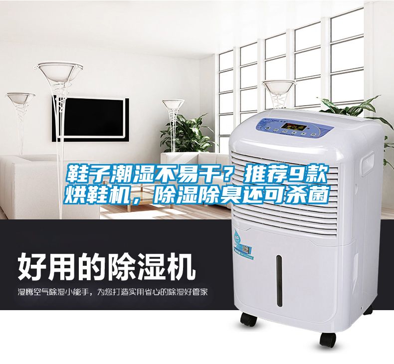 鞋子潮濕不易干？推薦9款烘鞋機，除濕除臭還可殺菌