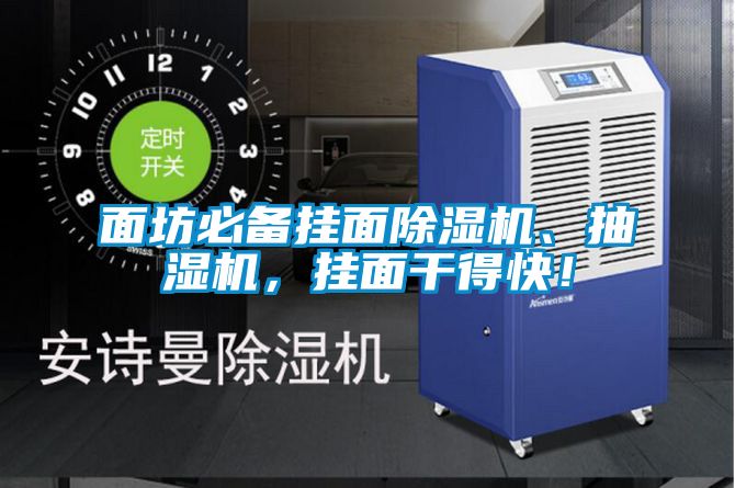 面坊必備掛面除濕機(jī)、抽濕機(jī)，掛面干得快！