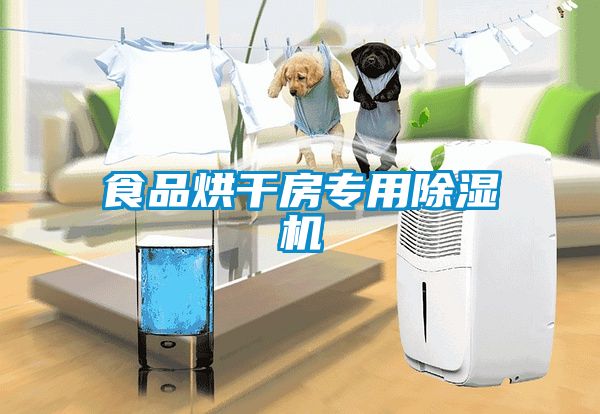 食品烘干房專用除濕機
