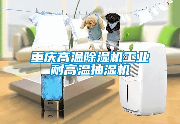 重慶高溫除濕機工業耐高溫抽濕機
