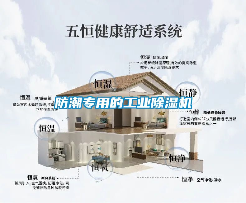 防潮專用的工業除濕機