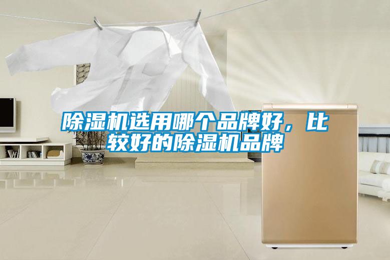 除濕機選用哪個品牌好，比較好的除濕機品牌