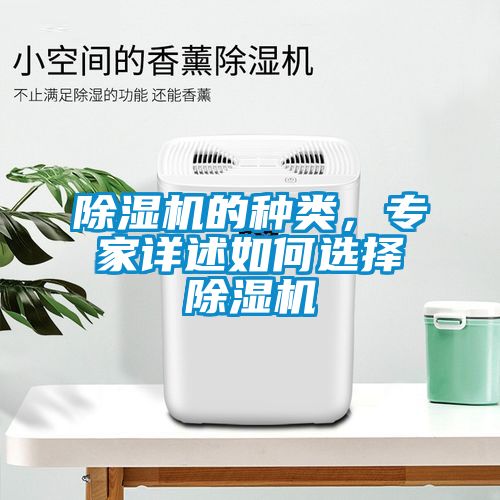 除濕機(jī)的種類(lèi)，專(zhuān)家詳述如何選擇除濕機(jī)