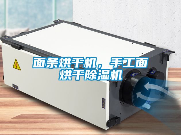 面條烘干機，手工面烘干除濕機