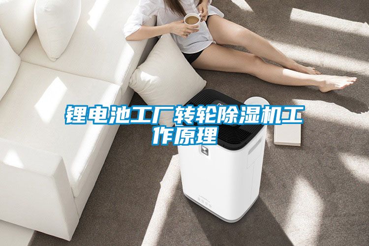 鋰電池工廠轉(zhuǎn)輪除濕機工作原理