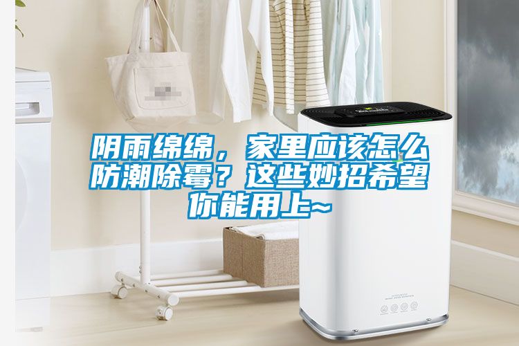陰雨綿綿，家里應(yīng)該怎么防潮除霉？這些妙招希望你能用上~
