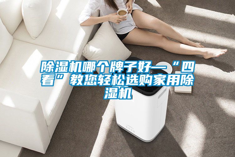除濕機(jī)哪個(gè)牌子好—“四看”教您輕松選購(gòu)家用除濕機(jī)