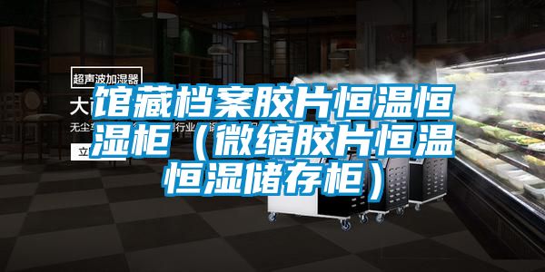 館藏檔案膠片恒溫恒濕柜（微縮膠片恒溫恒濕儲(chǔ)存柜）