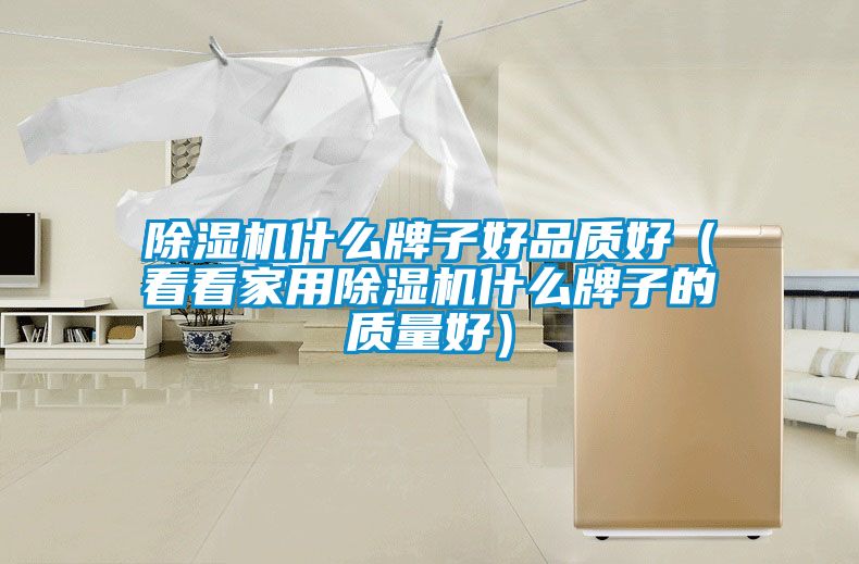 除濕機什么牌子好品質(zhì)好（看看家用除濕機什么牌子的質(zhì)量好）