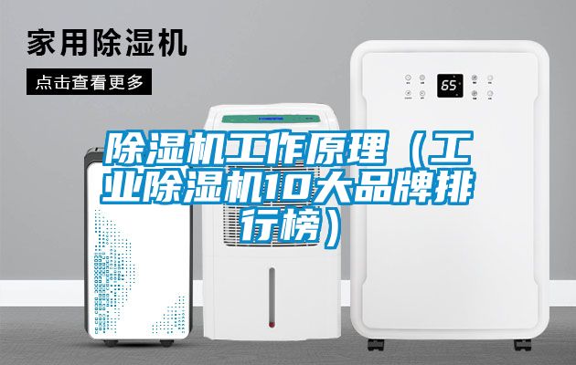 除濕機工作原理（工業除濕機10大品牌排行榜）