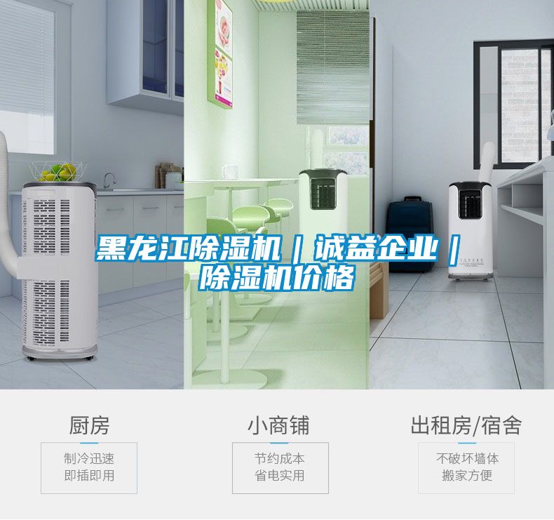 黑龍江除濕機(jī)｜誠益企業(yè)｜除濕機(jī)價(jià)格