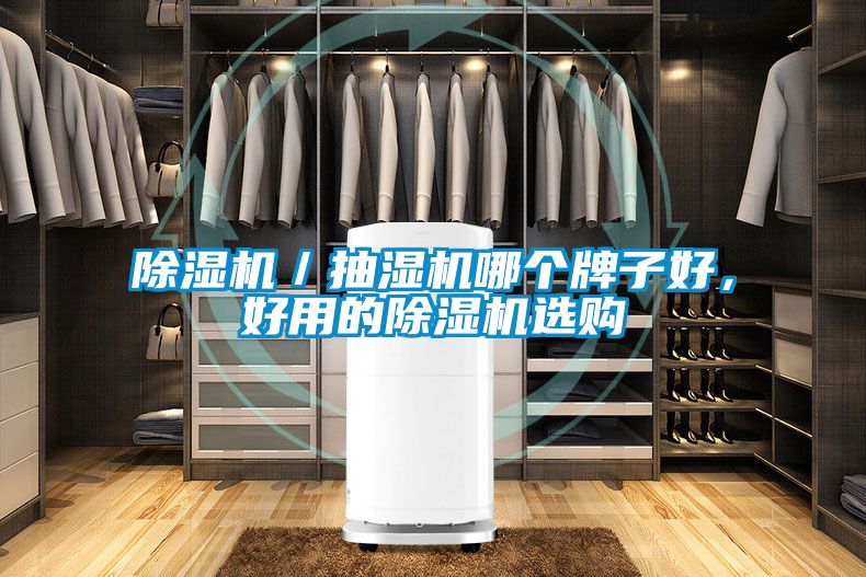 除濕機(jī)／抽濕機(jī)哪個(gè)牌子好，好用的除濕機(jī)選購(gòu)