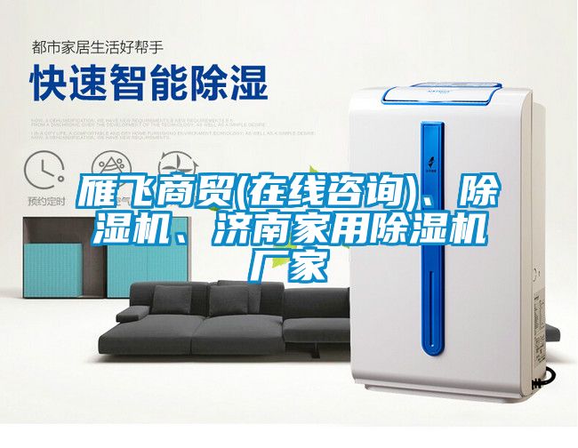雁飛商貿(在線咨詢)、除濕機、濟南家用除濕機廠家