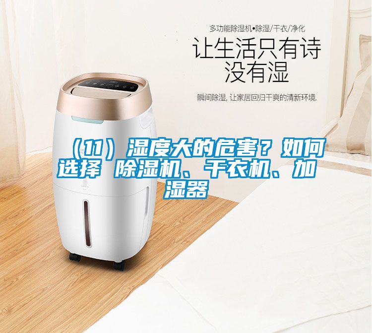 （11）濕度大的危害？如何選擇 除濕機、干衣機、加濕器