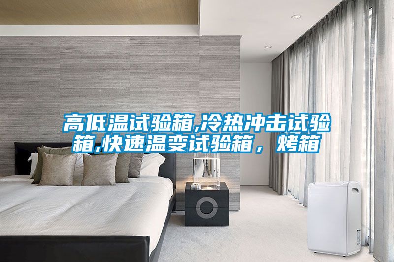 高低溫試驗(yàn)箱,冷熱沖擊試驗(yàn)箱,快速溫變?cè)囼?yàn)箱，烤箱