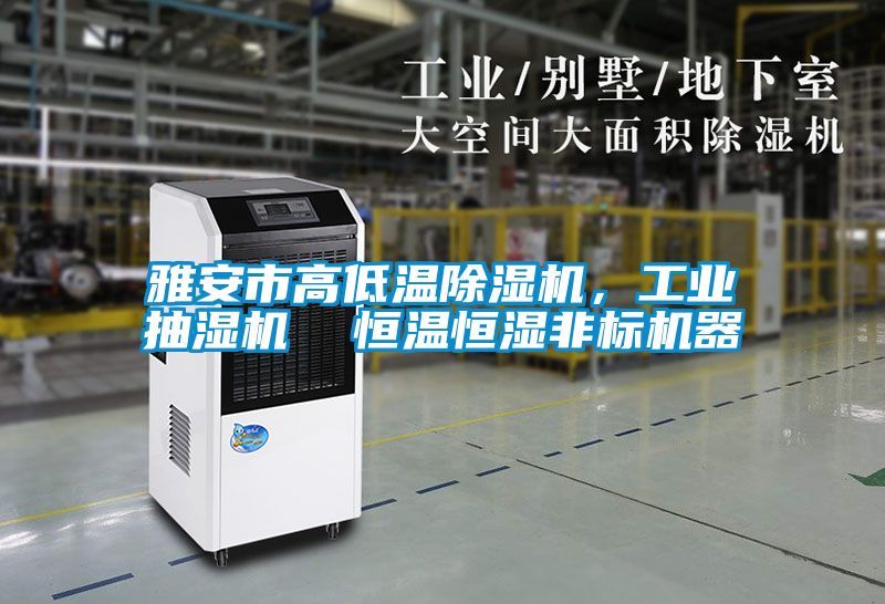 雅安市高低溫除濕機，工業抽濕機  恒溫恒濕非標機器