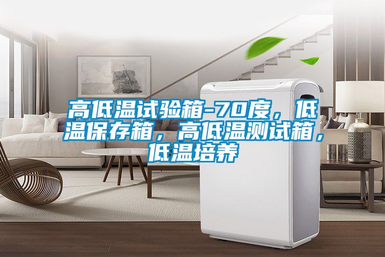 高低溫試驗(yàn)箱-70度，低溫保存箱，高低溫測(cè)試箱，低溫培養(yǎng)