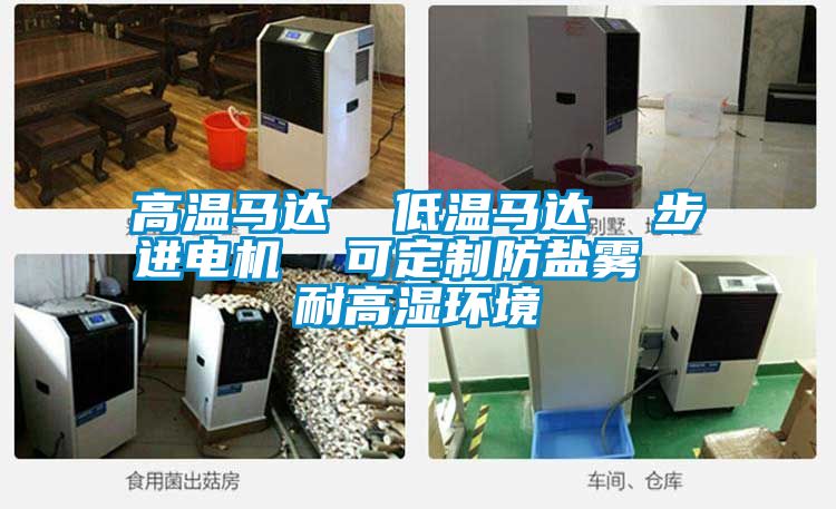 高溫馬達(dá)  低溫馬達(dá)  步進(jìn)電機  可定制防鹽霧  耐高濕環(huán)境