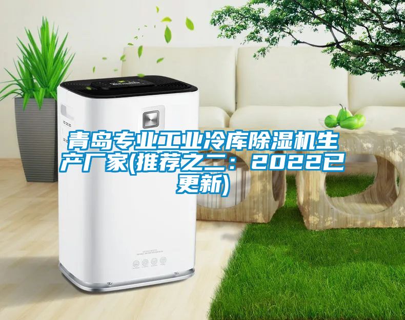 青島專業工業冷庫除濕機生產廠家(推薦之二：2022已更新)
