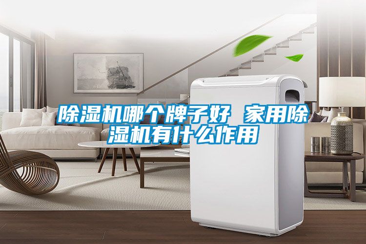除濕機(jī)哪個(gè)牌子好 家用除濕機(jī)有什么作用